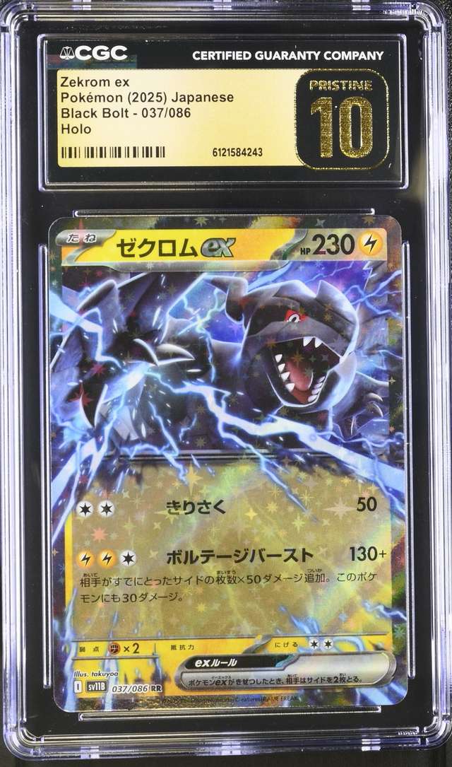 Zekrom ex