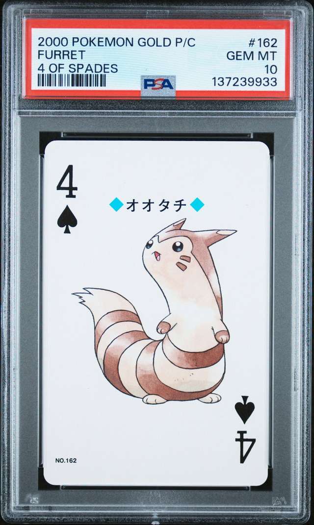 Furret