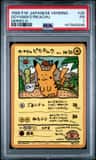 Ooyama'S Pikachu