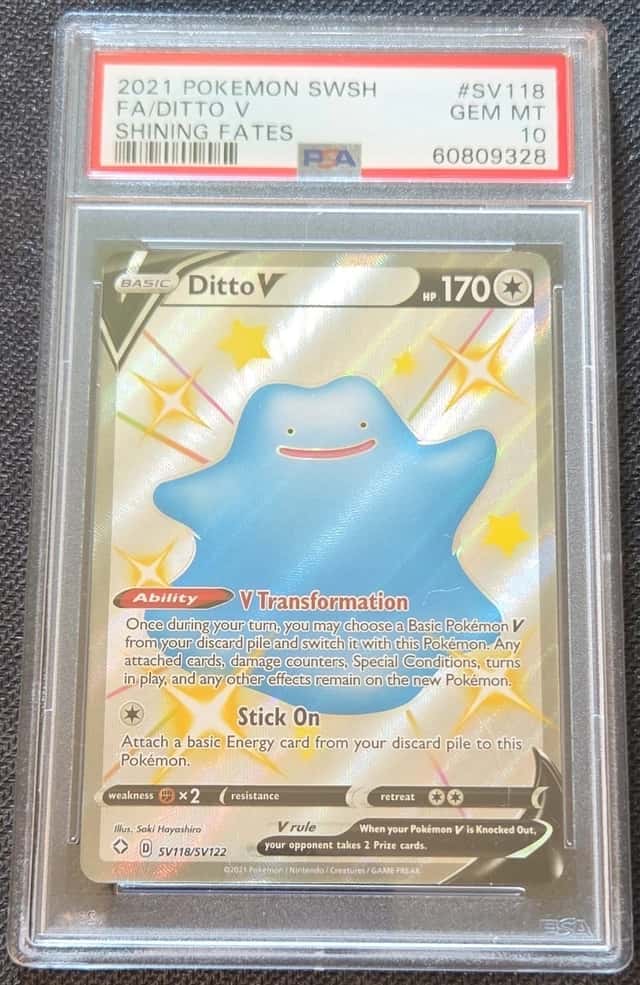 Ditto V
