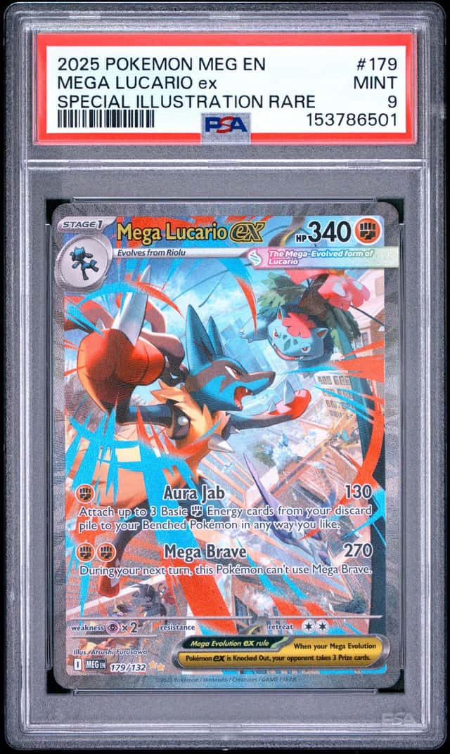 MEGA LUCARIO ex