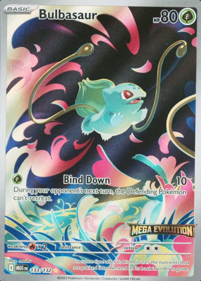 Box Topper