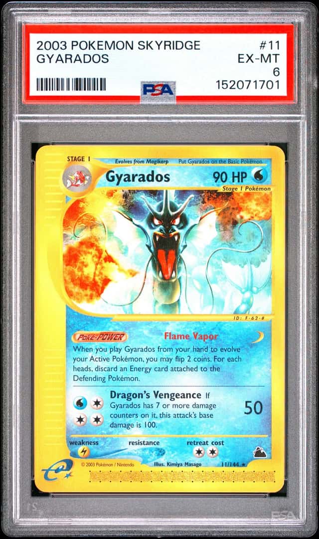 Gyarados R
