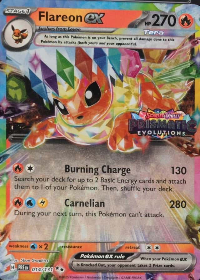 Holo · Box Exclusive Surprise