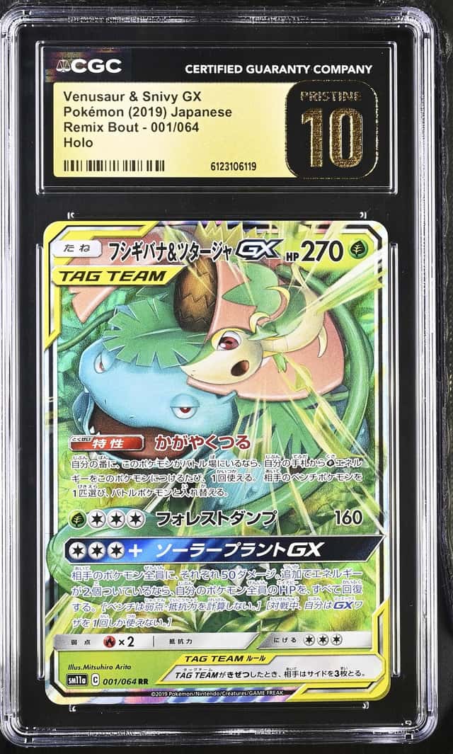 Venusaur & Snivy GX