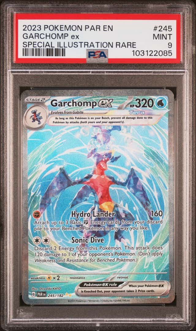 GARCHOMP ex