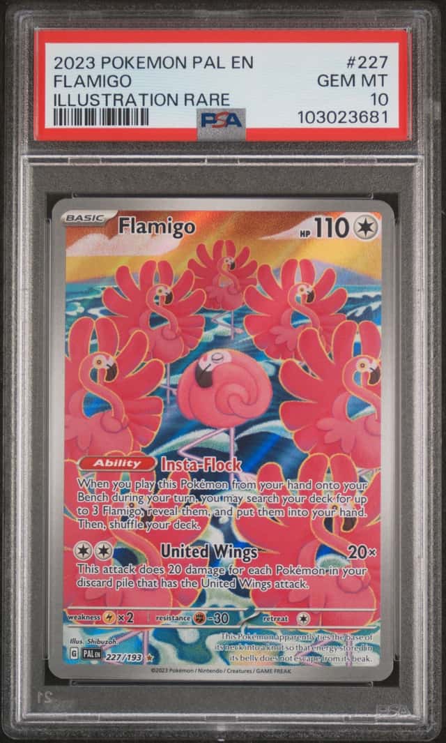 FLAMIGO