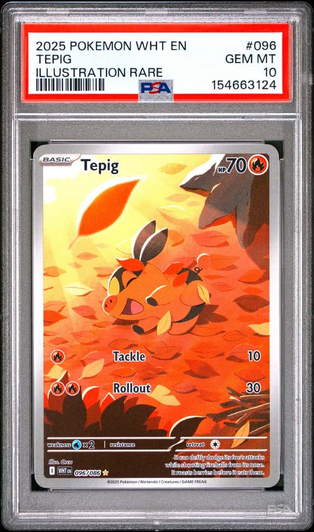 Tepig