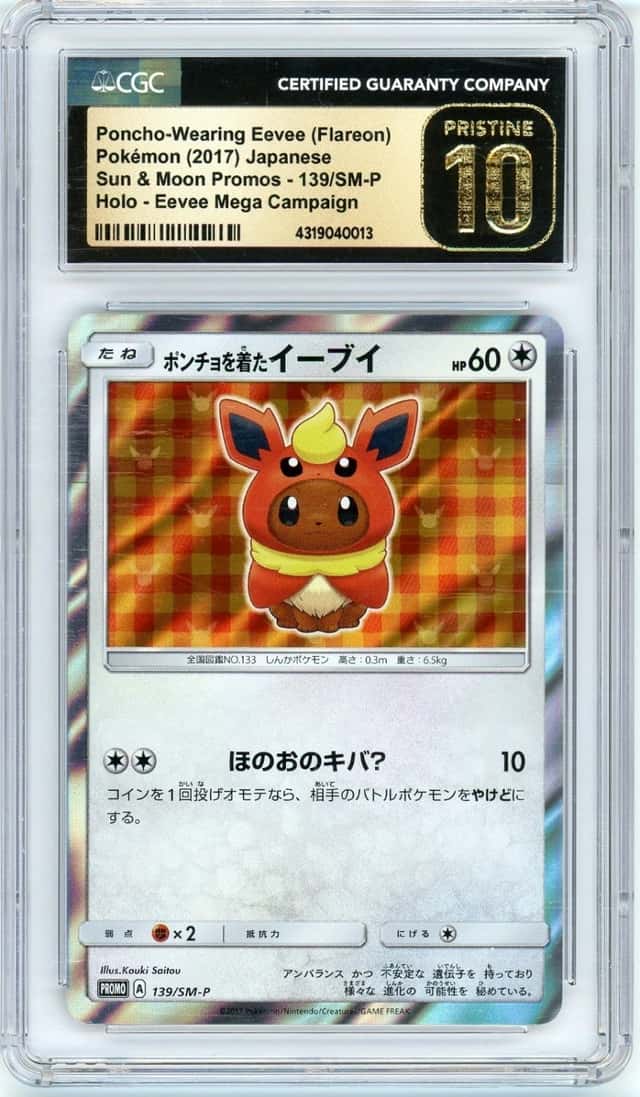 Poncho-Wearing Eevee