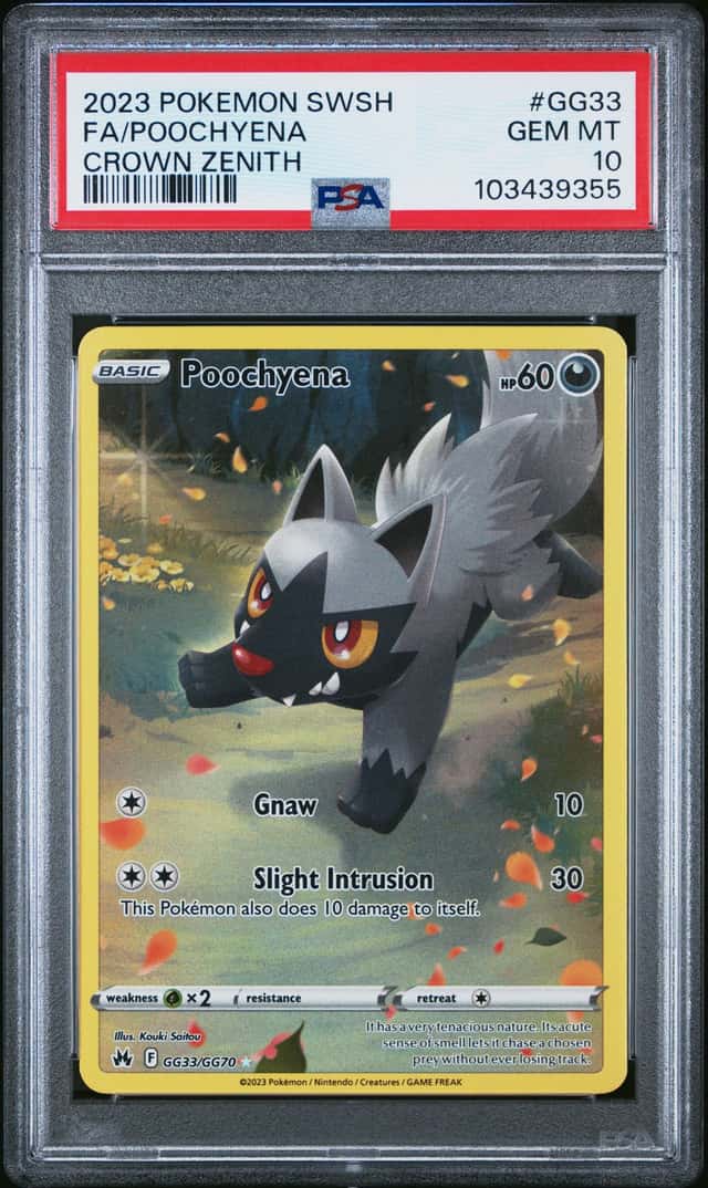 FA/POOCHYENA
