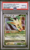 Leafeon Lv X