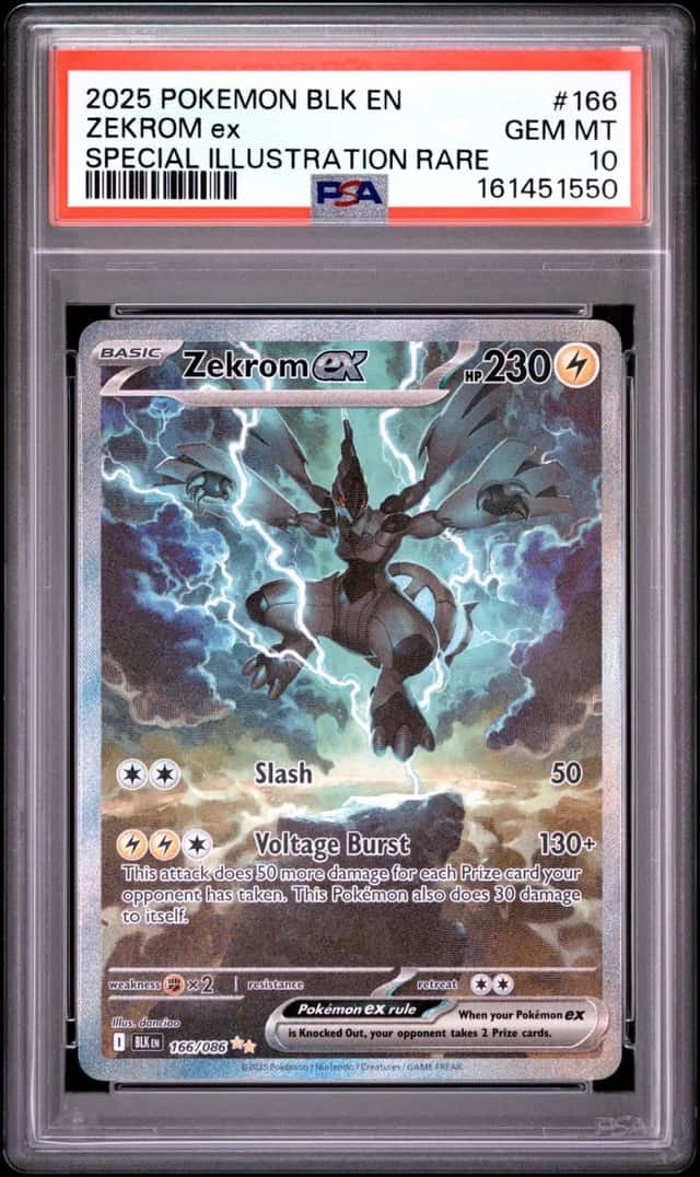 ZEKROM ex