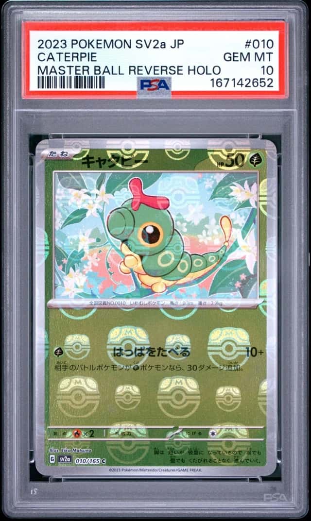 Caterpie
