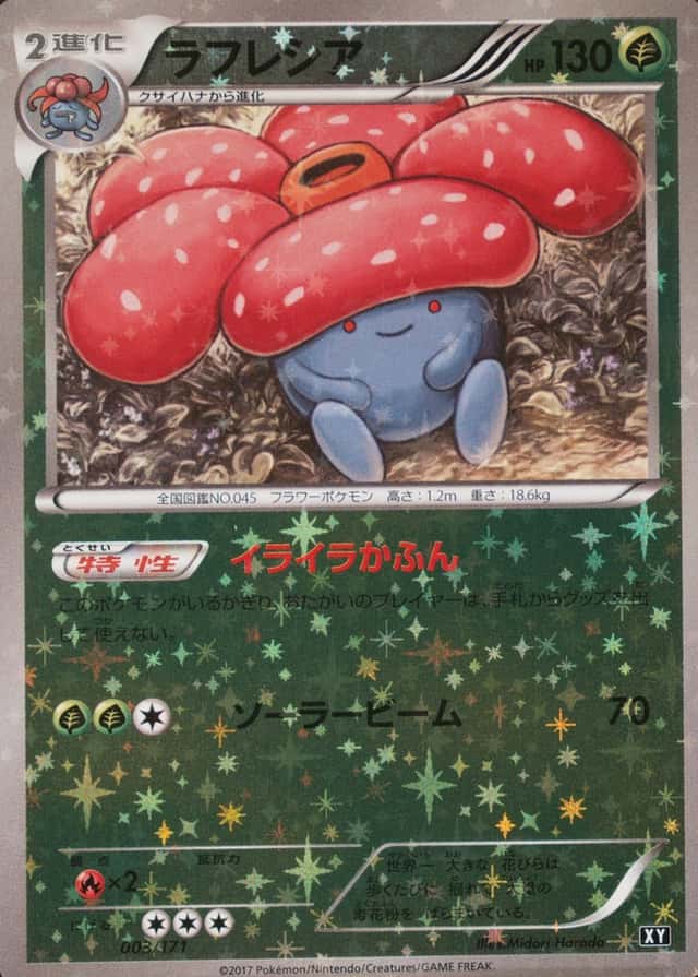 Reverse Holo