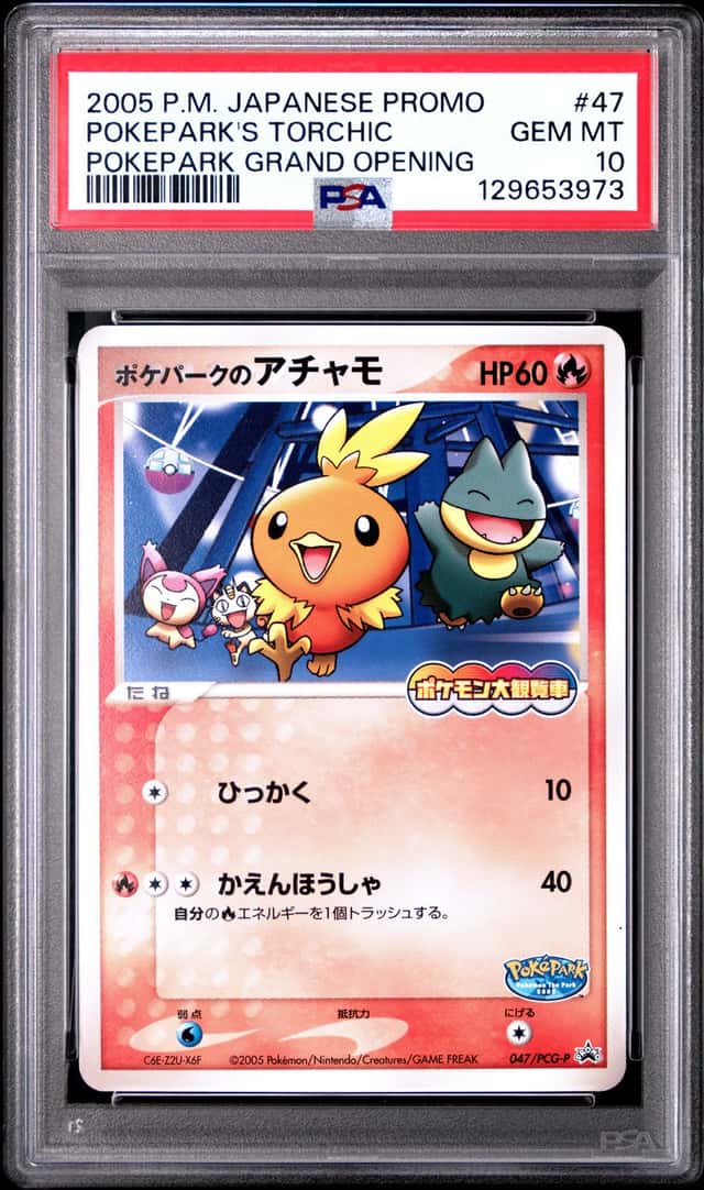 Pokepark's Torchic