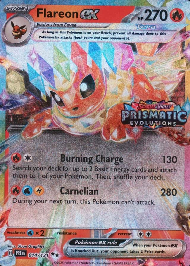 Holo · Box Exclusive Surprise