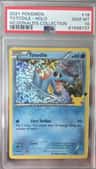 Totodile