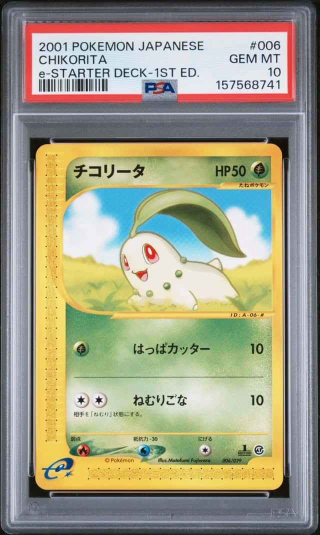 Chikorita