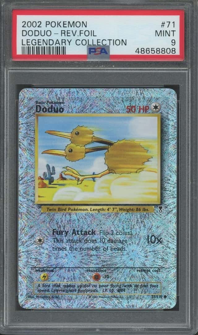 Doduo