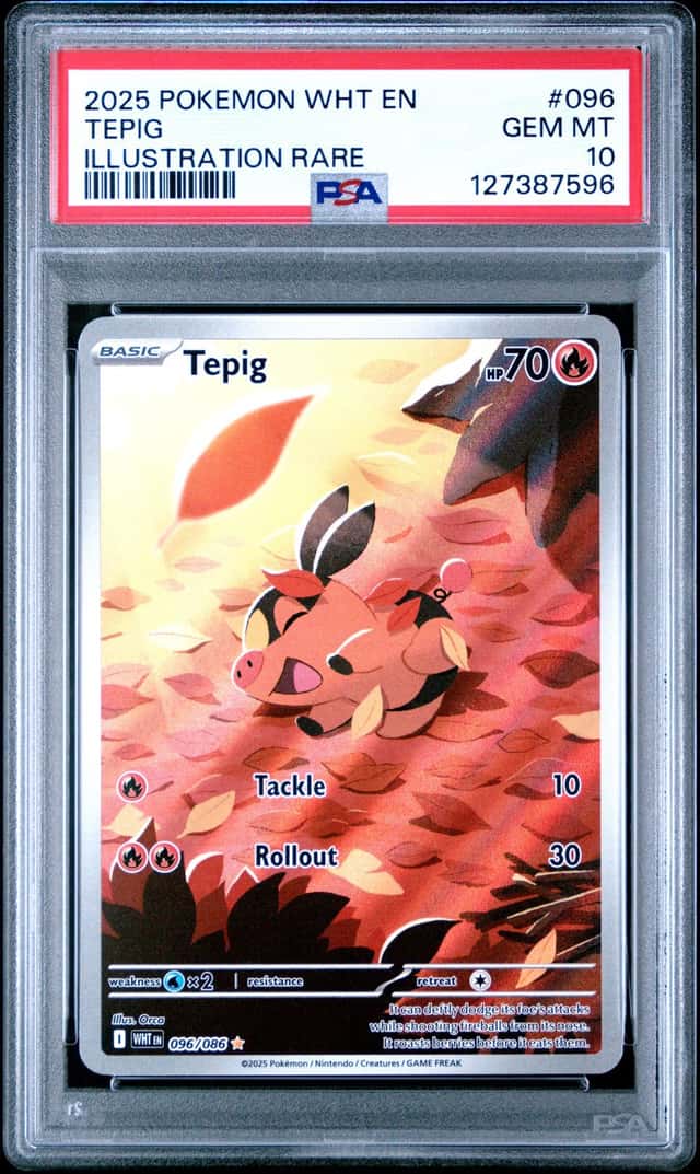 Tepig