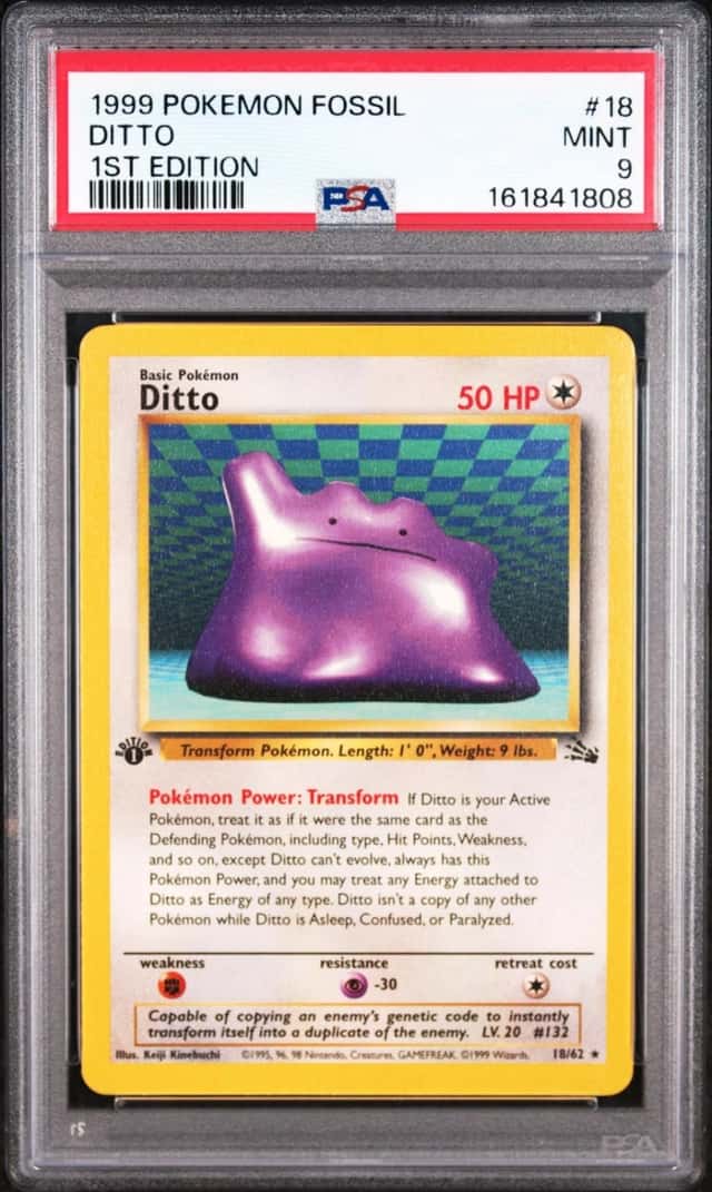 Ditto
