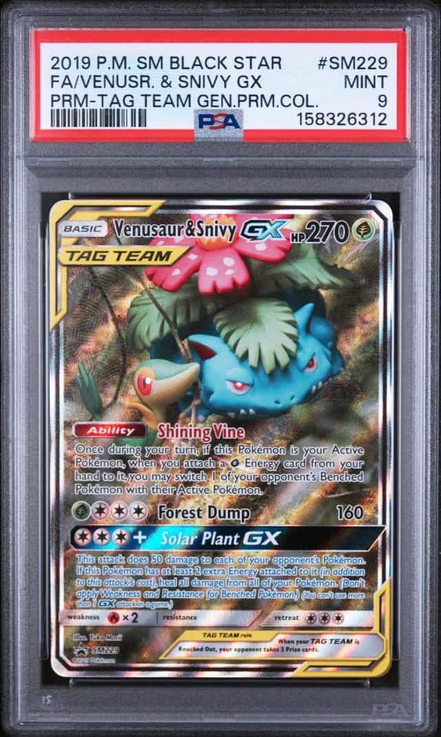 Venusaur & Snivy GX