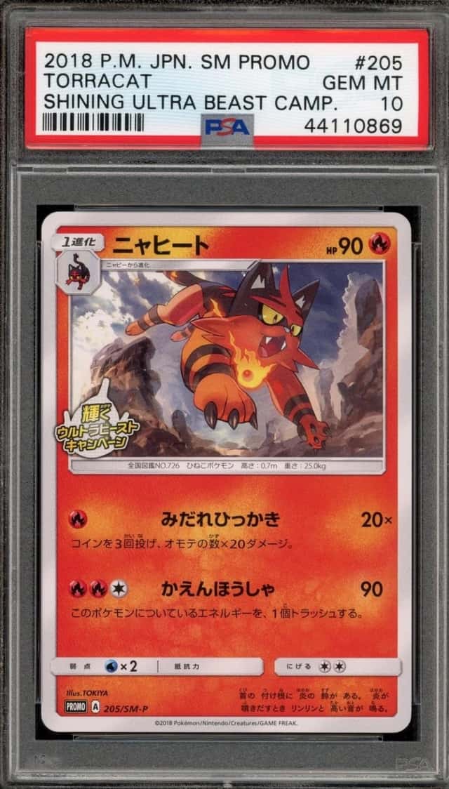 Torracat
