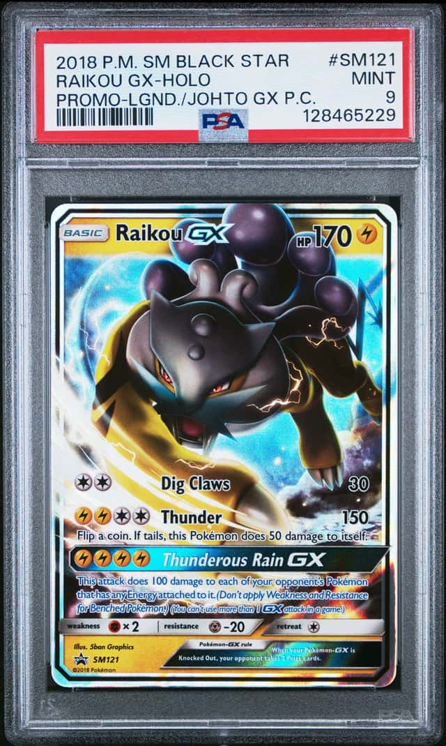 Raikou GX