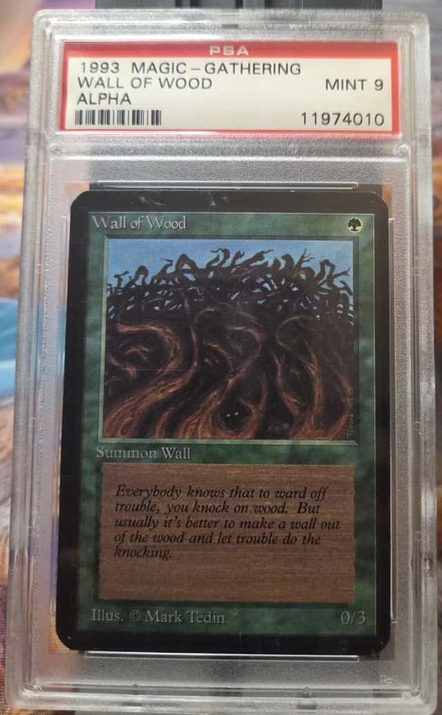 Wall of Wood