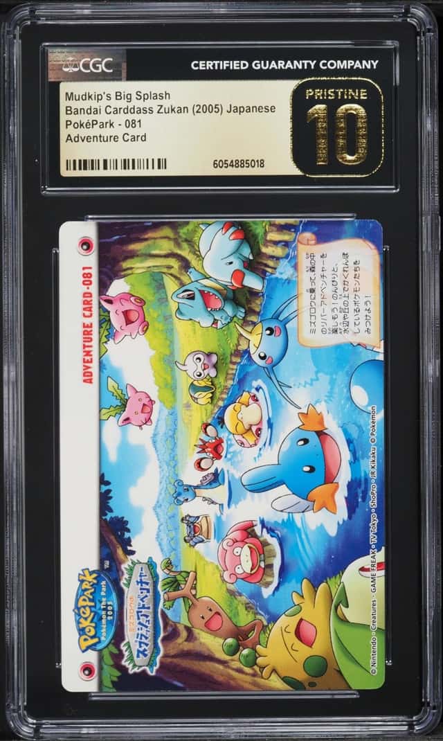 Mudkip's Big Splash