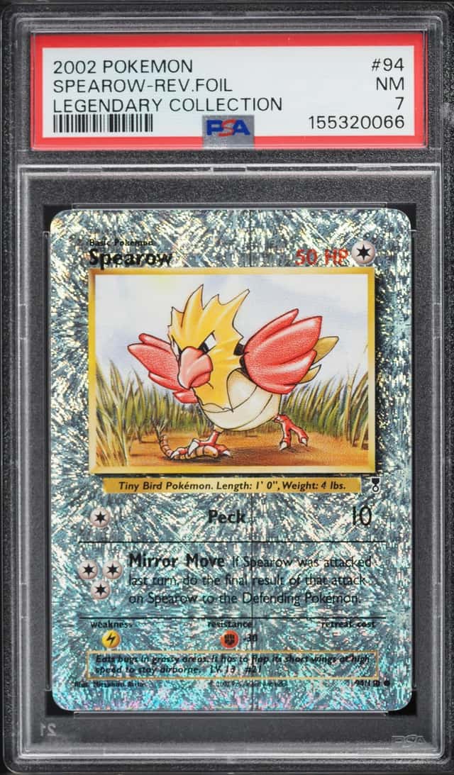 Spearow C