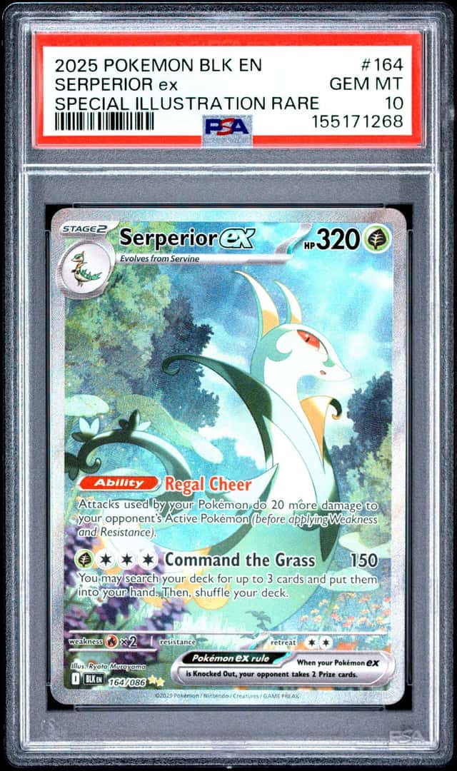 SERPERIOR ex