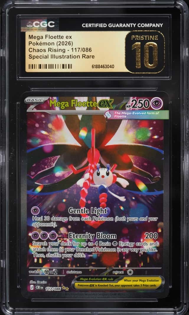 MEGA FLOETTE ex
