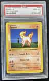 Ponyta