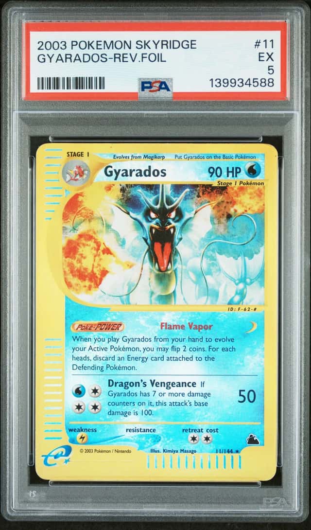 Gyarados R