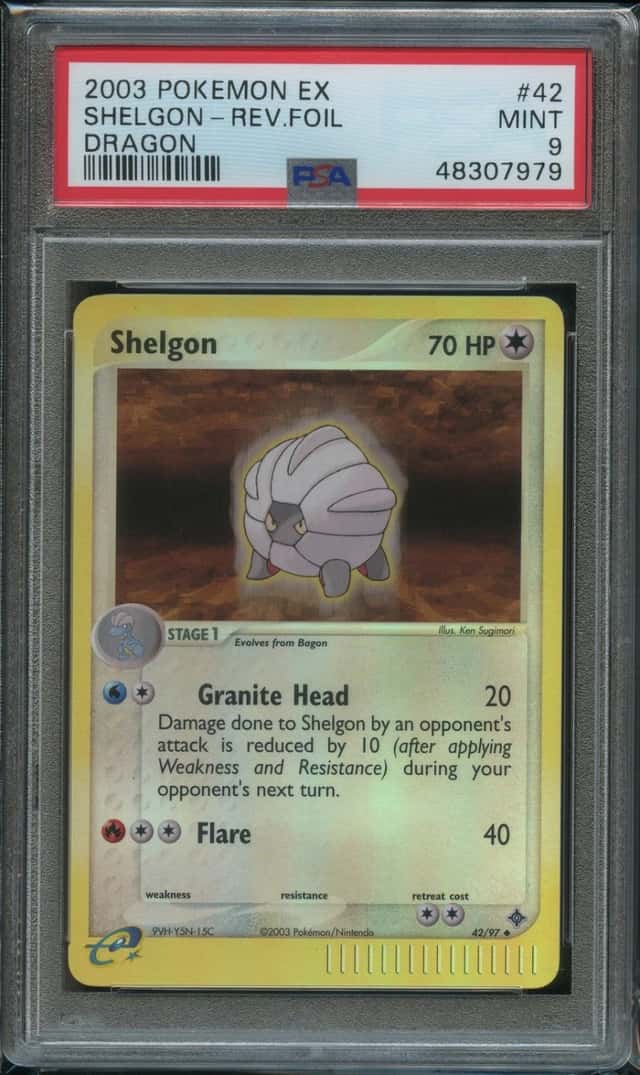 Shelon Dragon