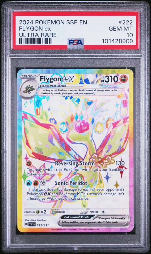 FLYGON ex