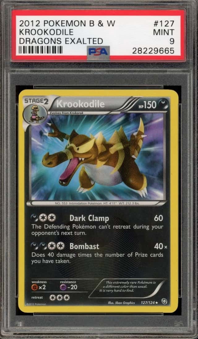 Krookodile