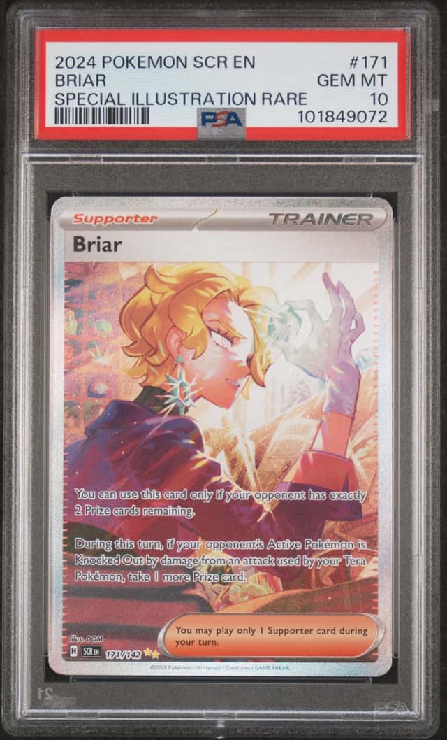Briar