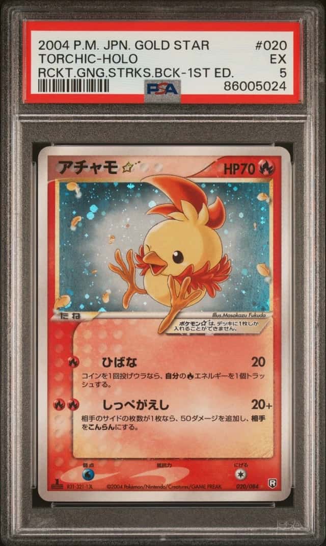 Torchic