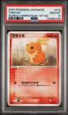 Torchic