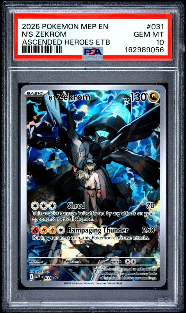 N's Zekrom