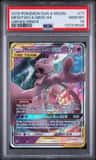 Mewtwo & Mew Gx