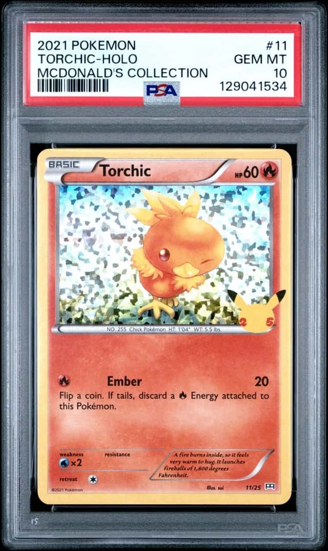 Torchic