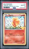 Torchic