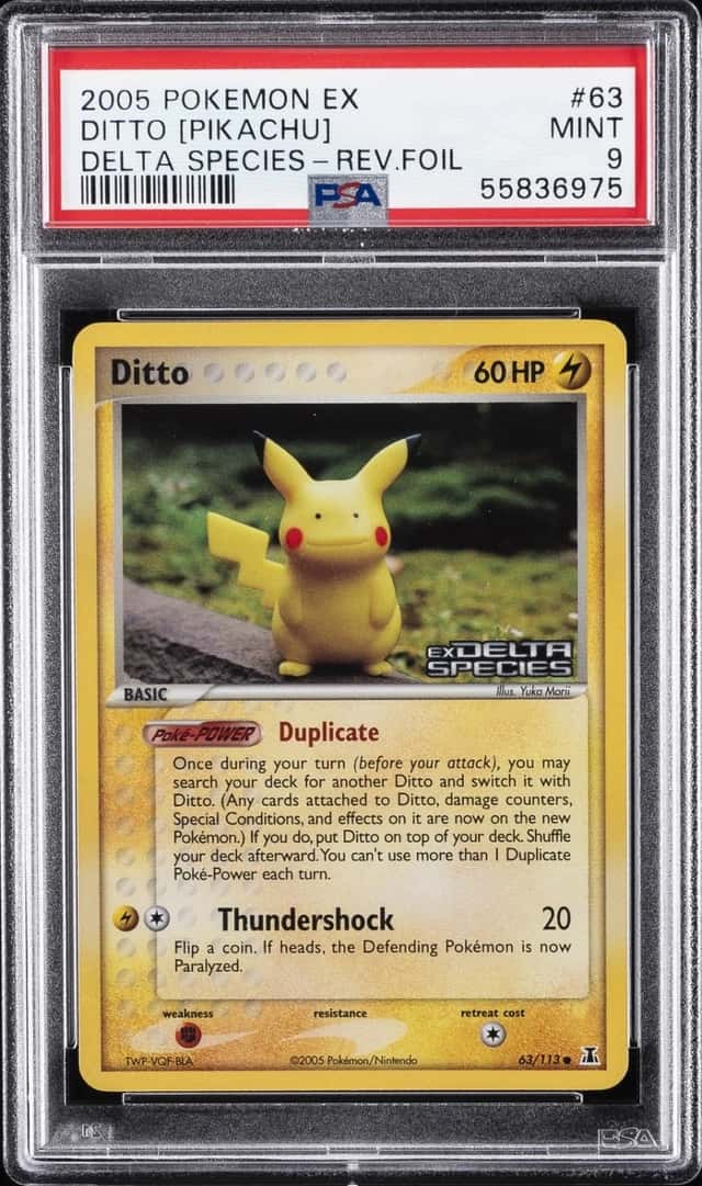 Ditto [Pikachu]