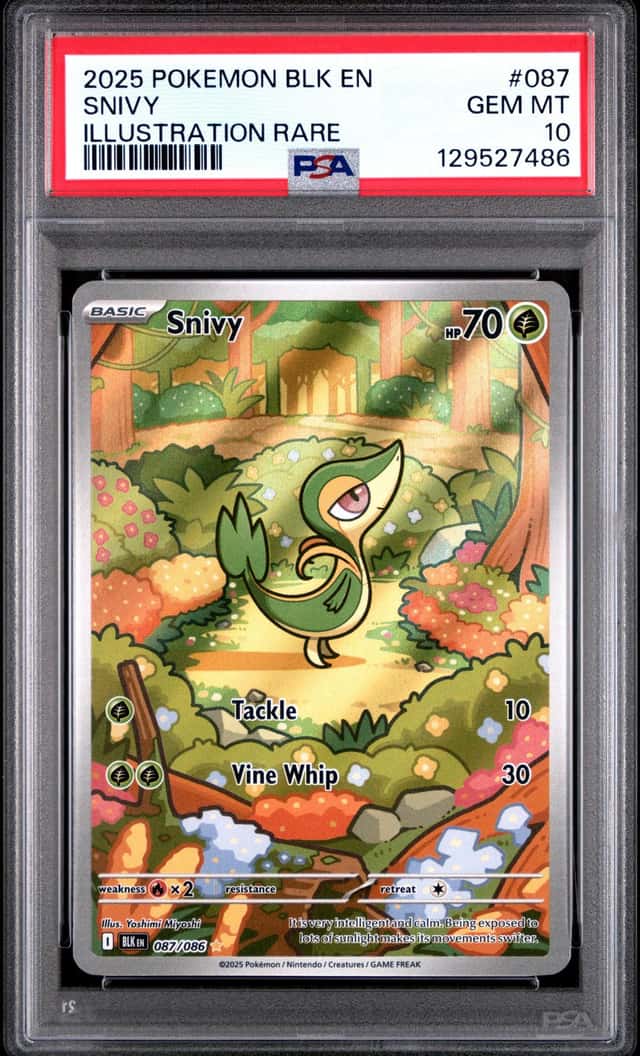 Snivy