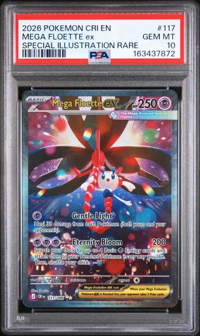 MEGA FLOETTE ex