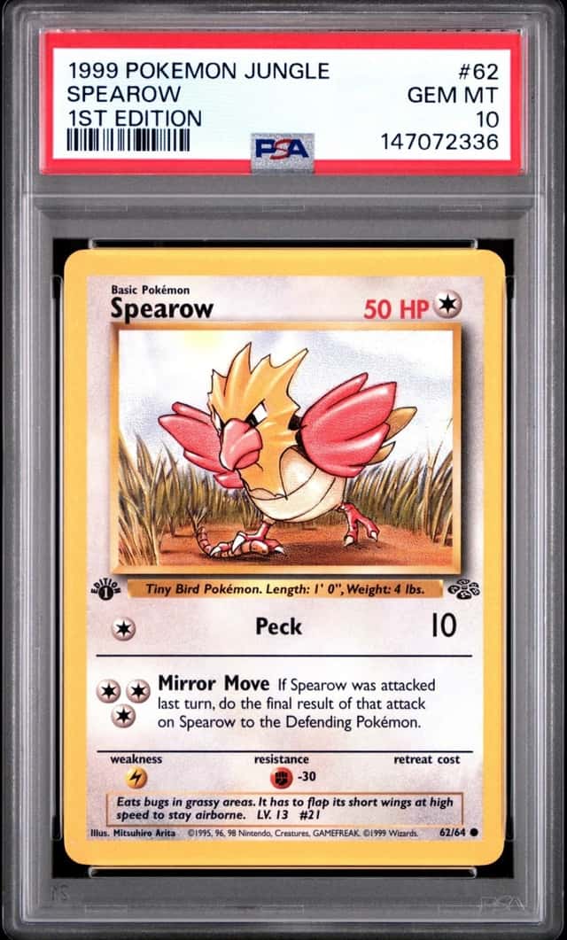 Spearow