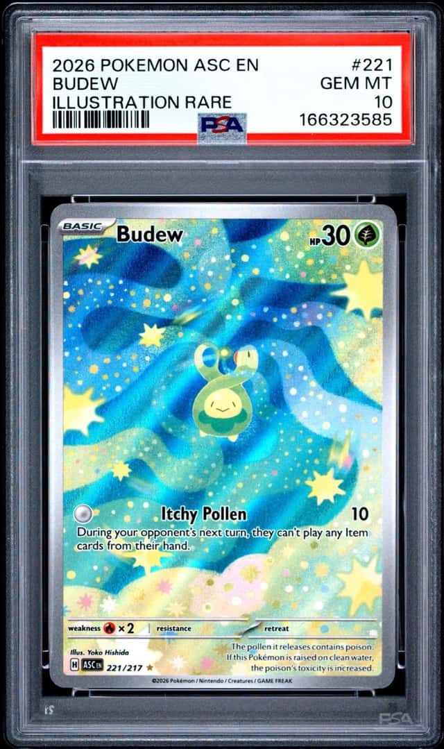 Budew